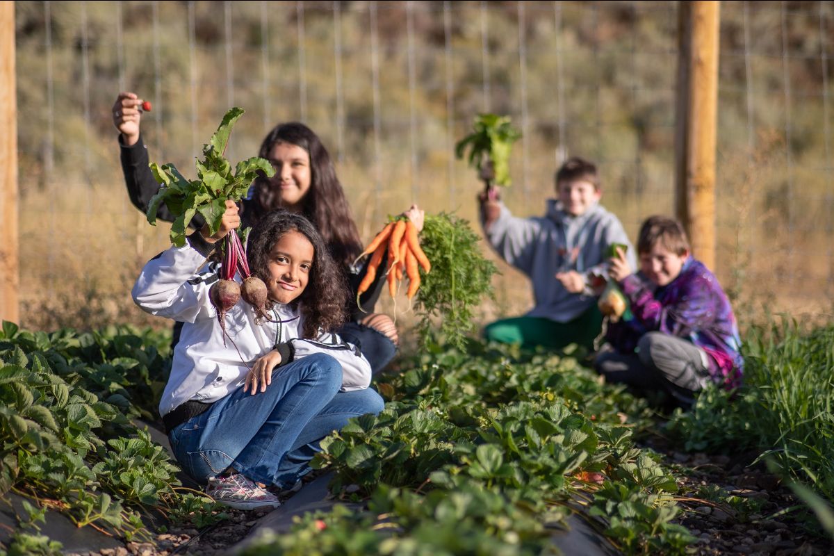 Sun Valley Tour de Force Gifts the Hunger Coalition